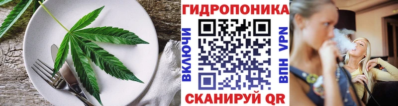 OMG рабочий сайт  Зима  Cannafood конопля 