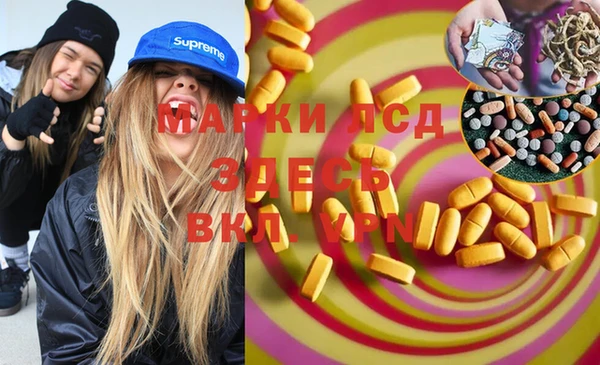 прущие грибы Баксан
