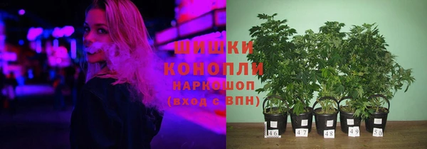 прущие грибы Баксан