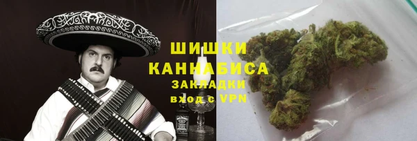 прущие грибы Баксан