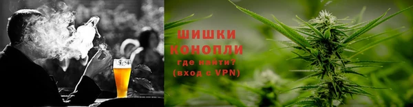 прущие грибы Баксан