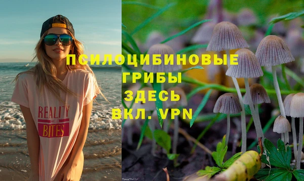 прущие грибы Баксан