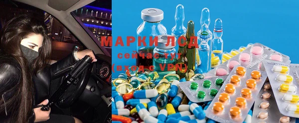 прущие грибы Баксан