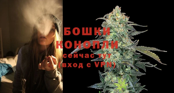 прущие грибы Баксан